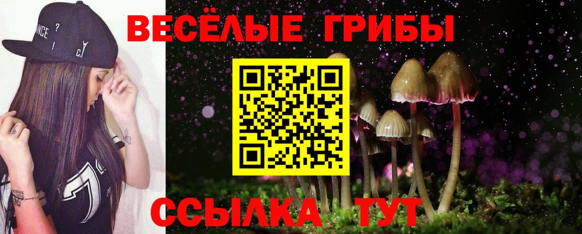Галлюциногенные грибы ЛСД Советская Гавань
