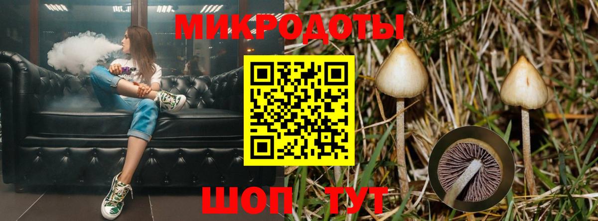 Советская Гавань  Галлюциногенные грибы Psilocybe  Вход с VPN 